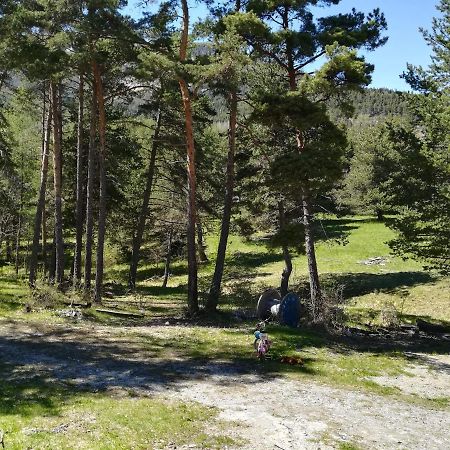 ホテル Les Pinees Chateauroux-les-Alpes エクステリア 写真