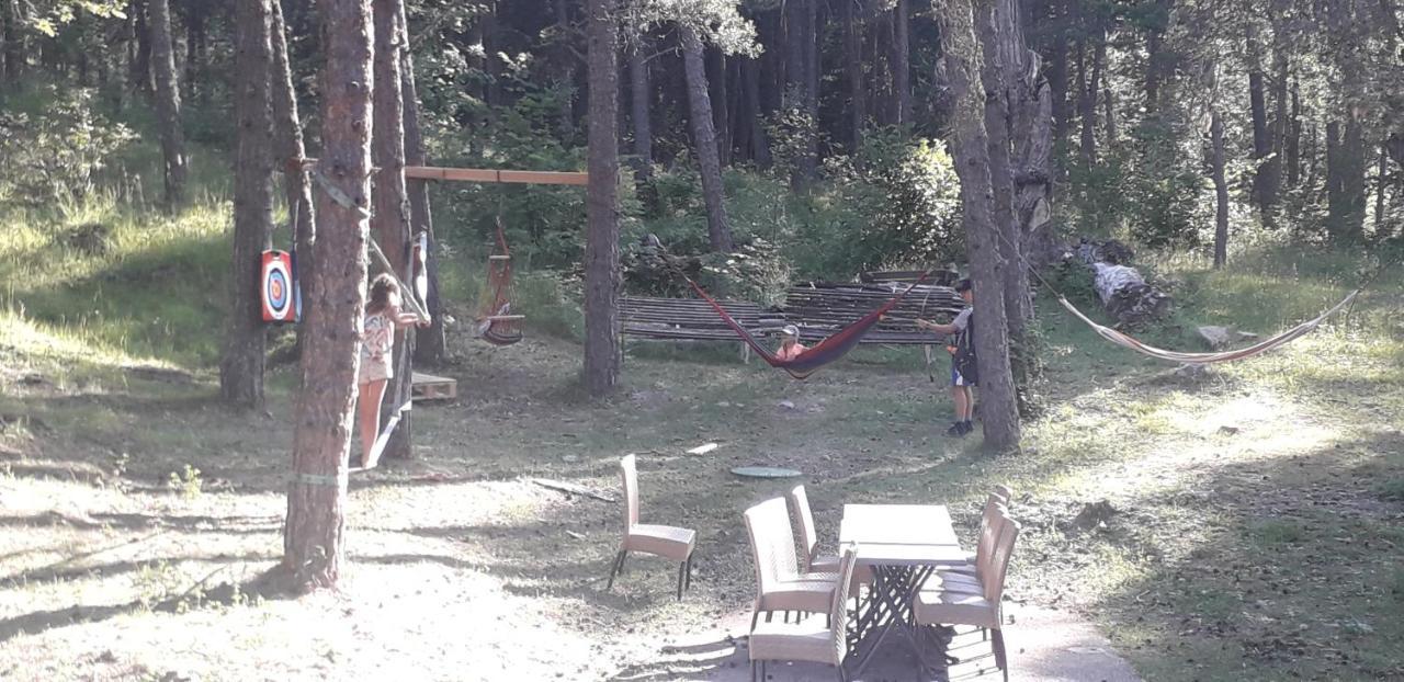 ホテル Les Pinees Chateauroux-les-Alpes エクステリア 写真